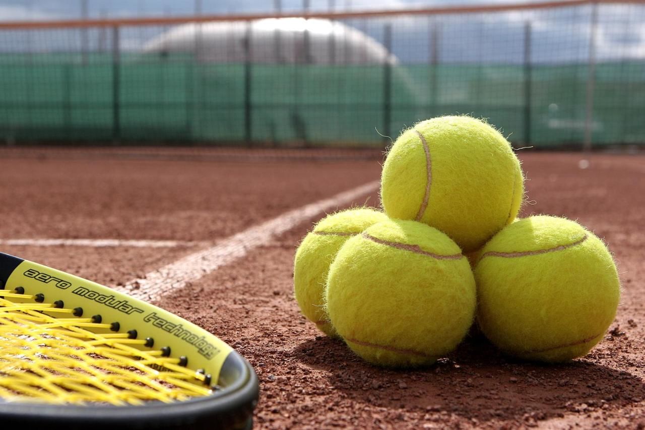 Отель Hotel Pamira Сибиу